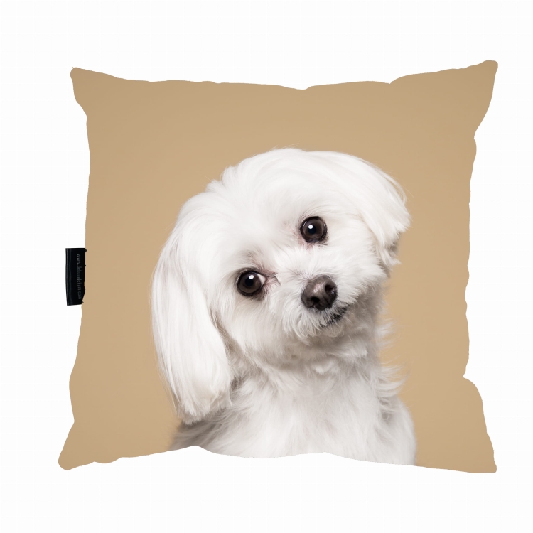 poduszka maltańczyk beż .jpg