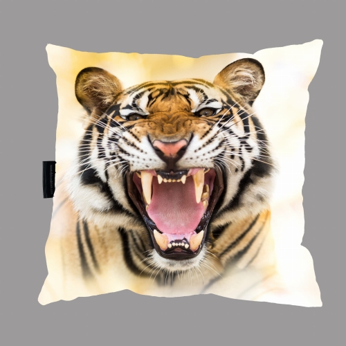 poduszka tygrys zęby .jpg