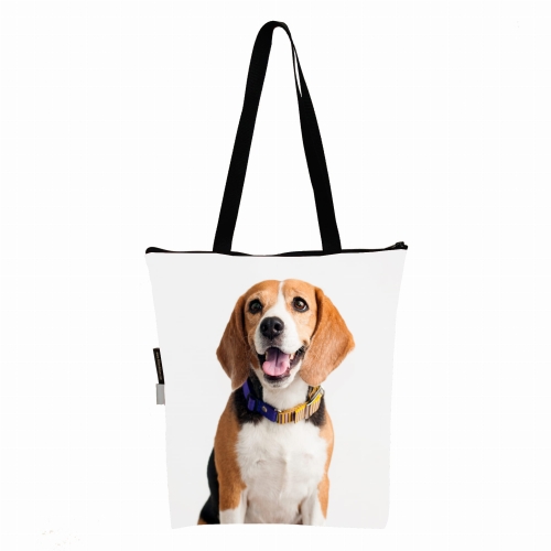 torba KL z psem Beagle zdj.jpg