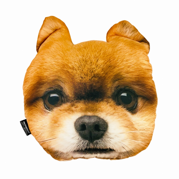 poduszka 3d pomeranian.jpg
