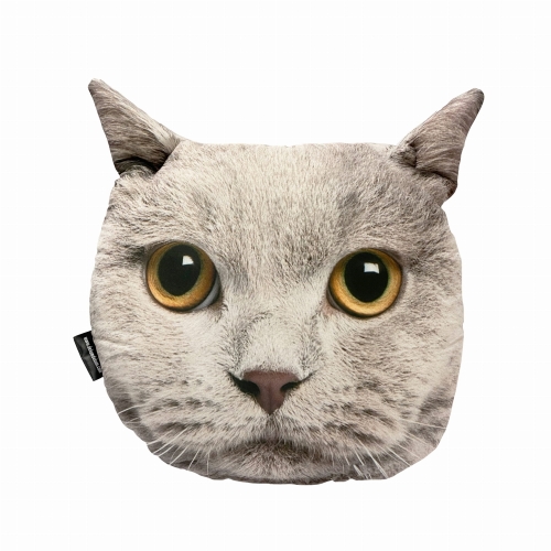 poduszka 3d kot brytyjski .jpg