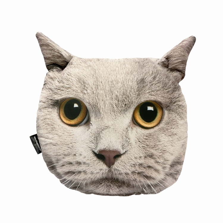 poduszka 3d kot brytyjski .jpg