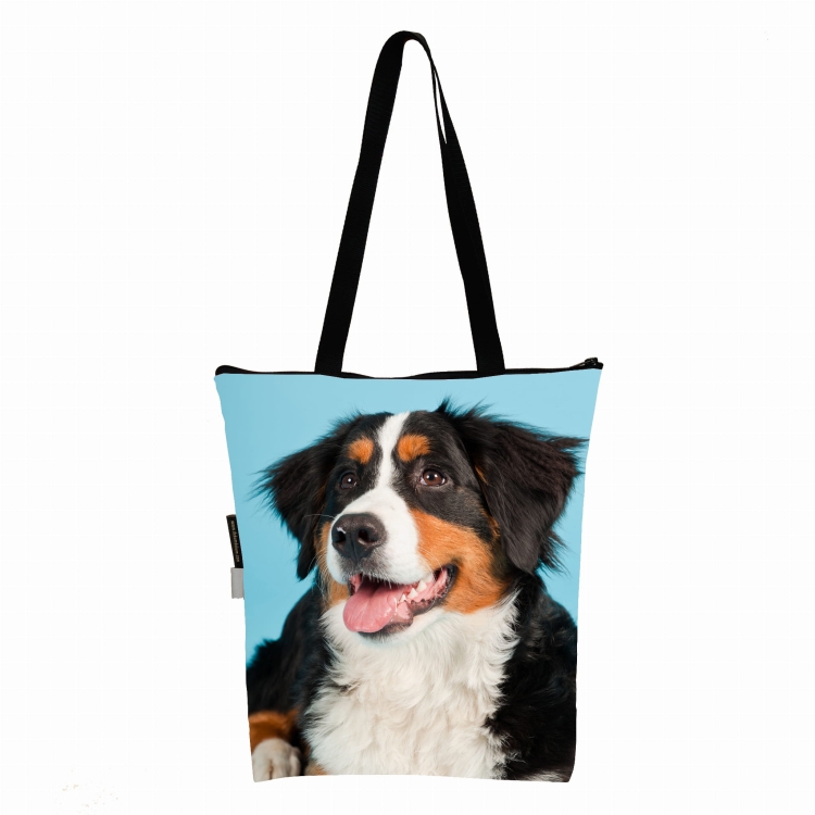 KL berneńczyk nowa.jpg