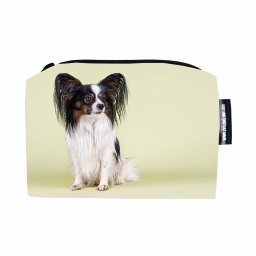 kosemtyczka papillion.jpg