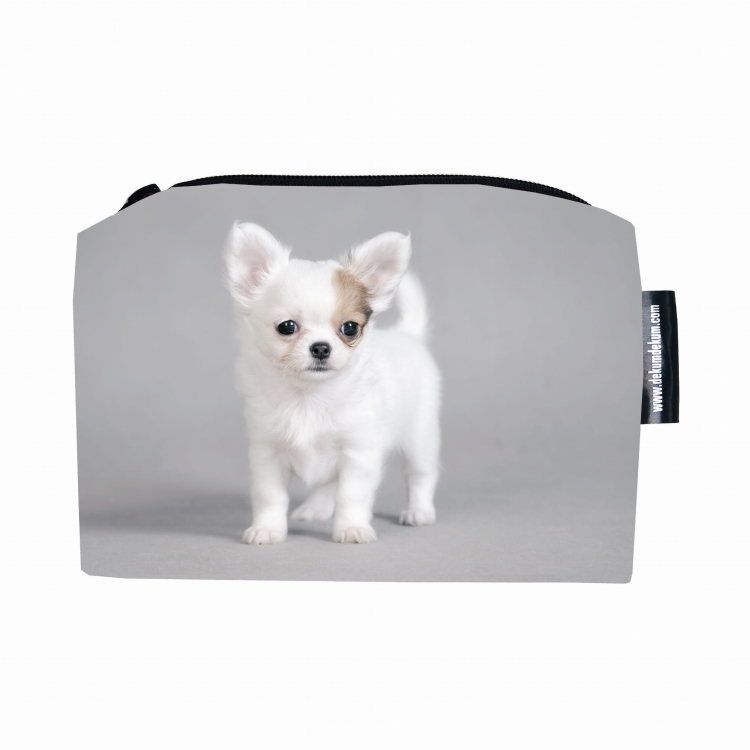 kosmetyczka chihuahua białą szary.jpg