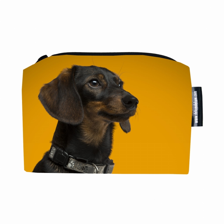 kosmetyczka jamnik pomarańcz.jpg