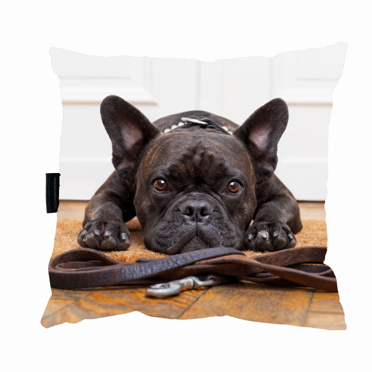 poduszka buldog czarny.jpg