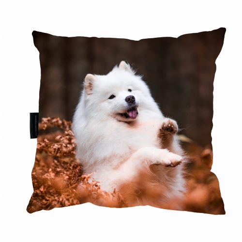 poduszka samoyed.jpg