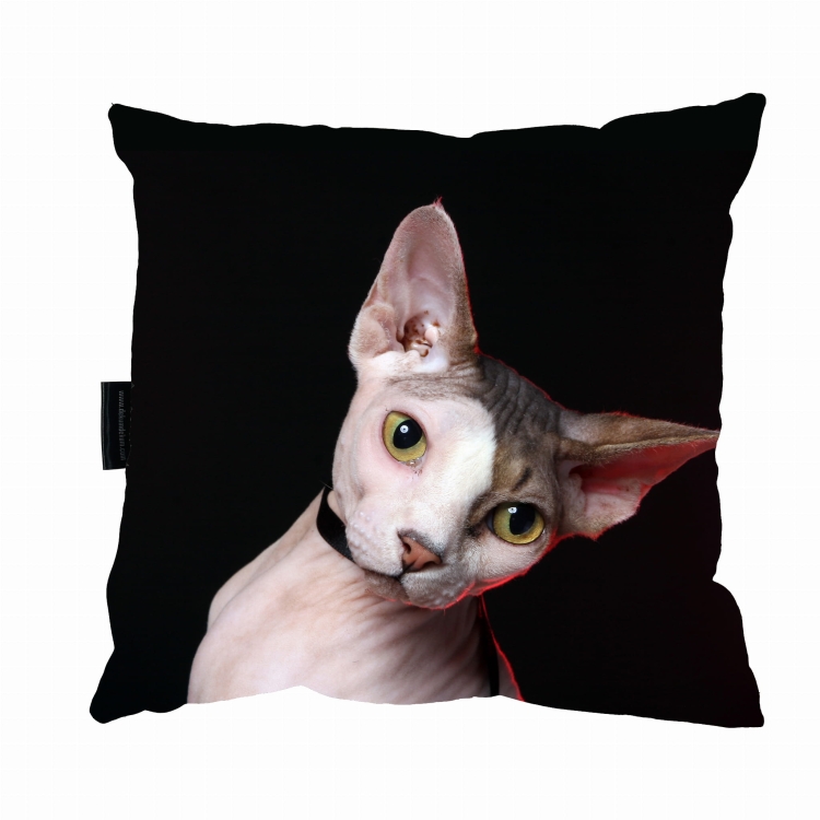 poduszka kot sfinks.jpg
