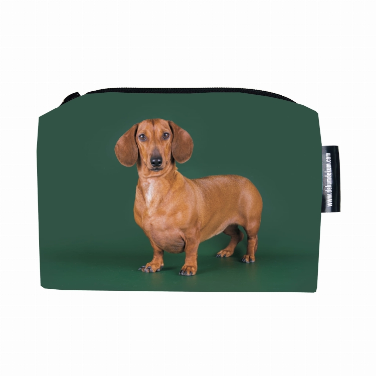 kosmetyczka jamnik rudy na zielonym.jpg