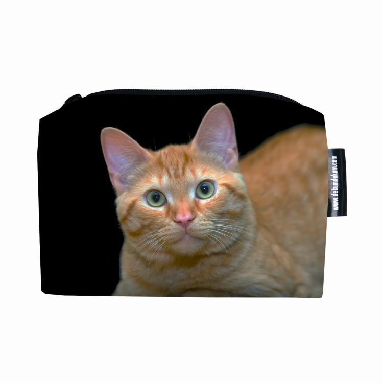 kosmetyczka kot rudy 2 .jpg