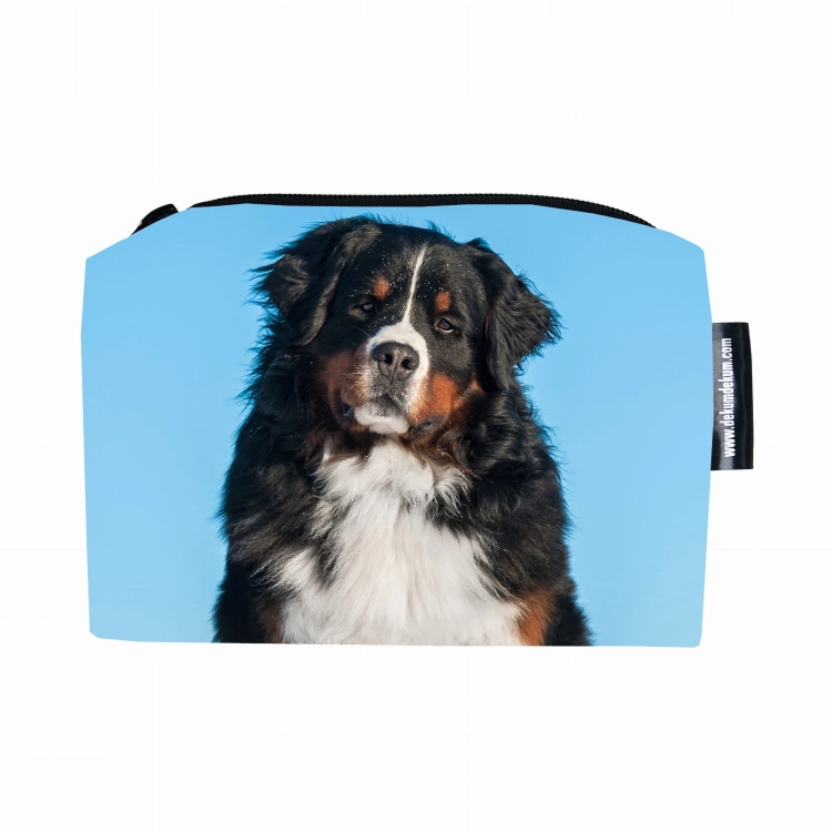 kosmetyczka berneńczyk.jpg