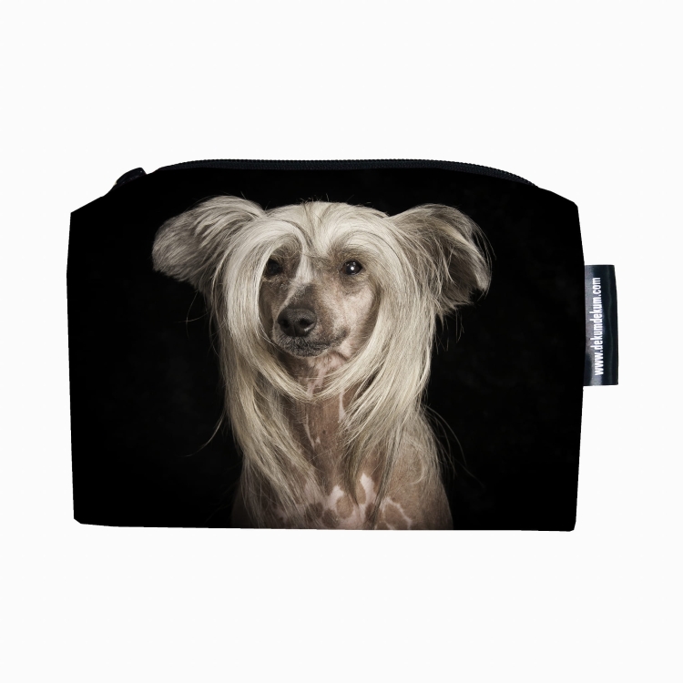 kosmetyczka grzywacz chiński.jpg