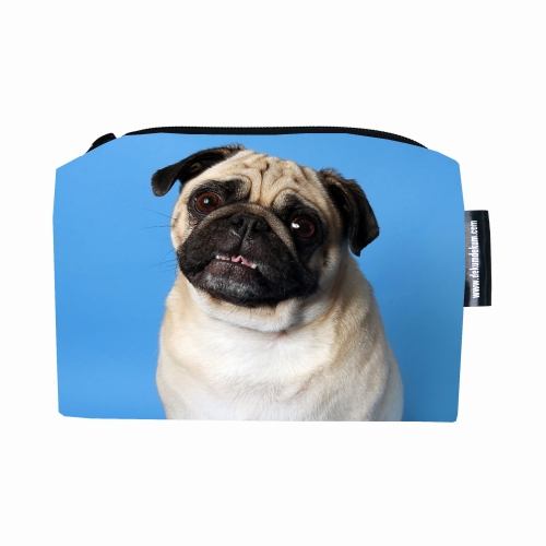 kosmetyczka mops na niebieskim tle.jpg