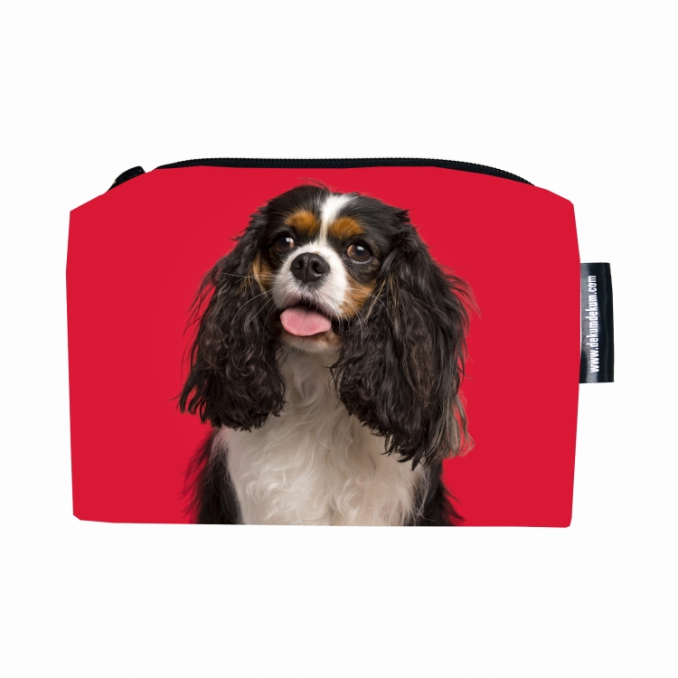 kosmetyczka cavalier kings spaniel.jpg