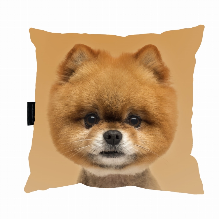 poduszka pomeranian 2d.jpg