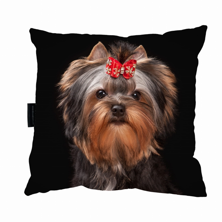 poduszka york szablon.jpg