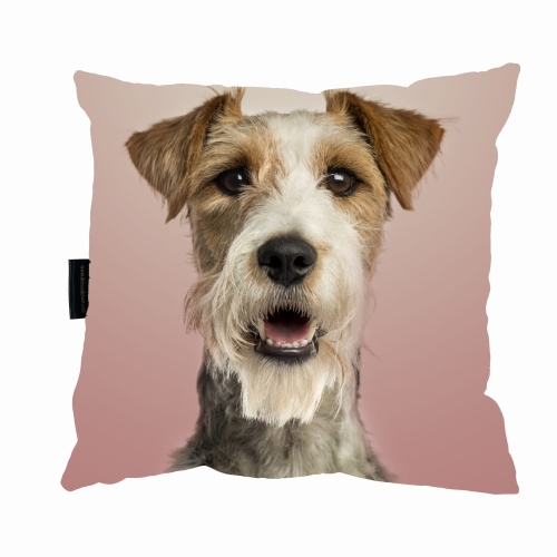 poduszka fox terrier.jpg