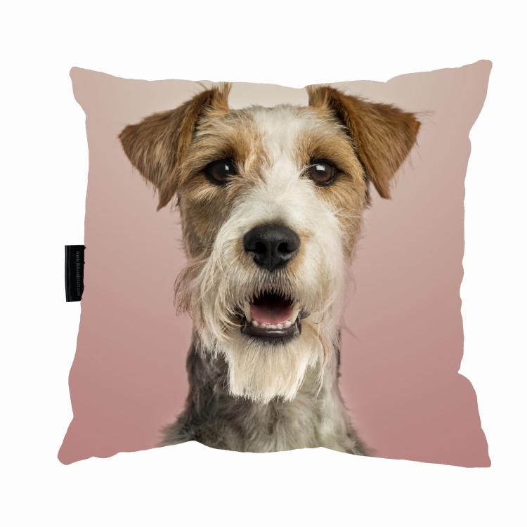 poduszka fox terrier.jpg