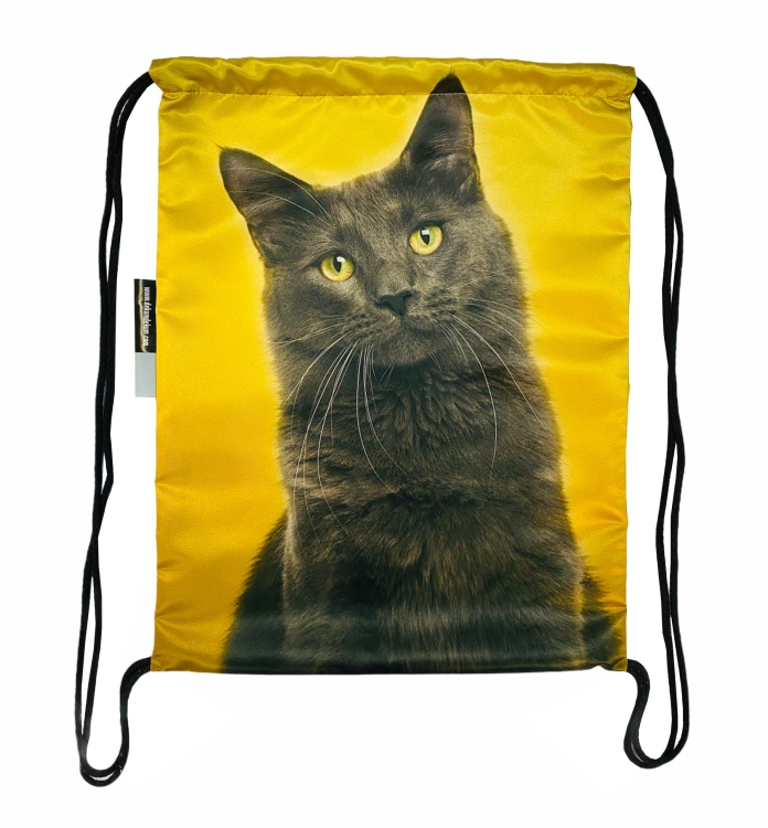 worek kot czarny na żółtym.jpg