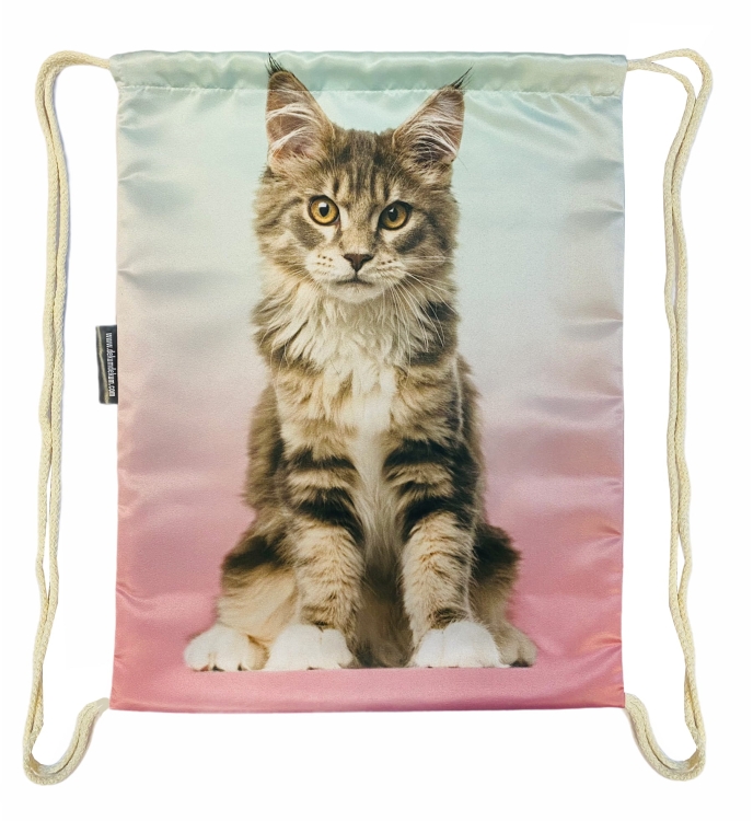 worek mainecoon kolor.jpg