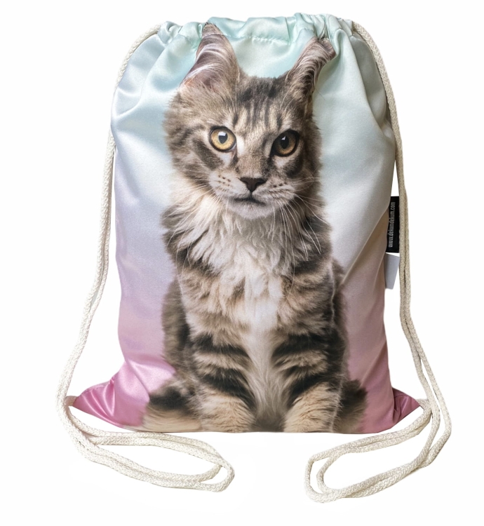 worek mainecoon kolor 2.jpg