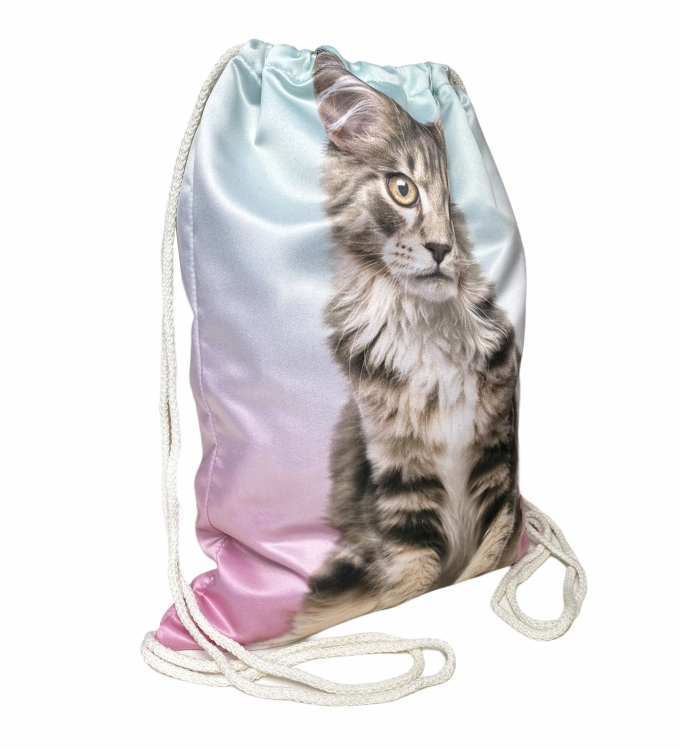 worek mainecoon kolor 3.jpg