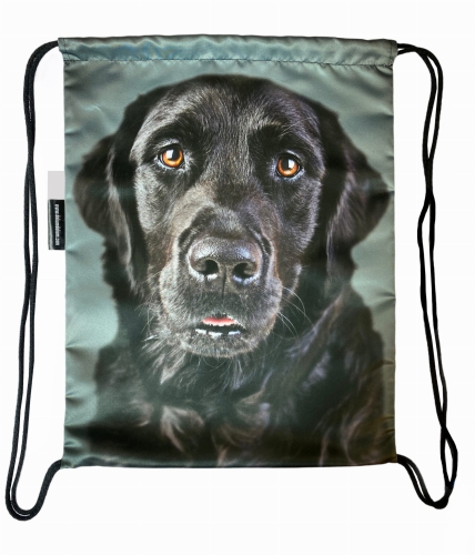 worek labrador czarny 3.jpg