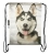 worek husky 1.jpg