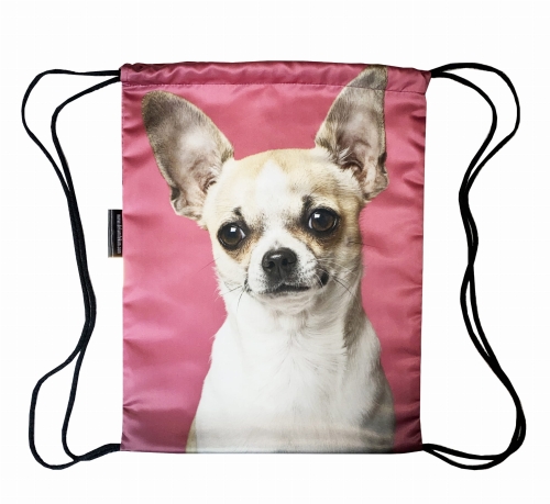 worek chihuahua róż.jpg