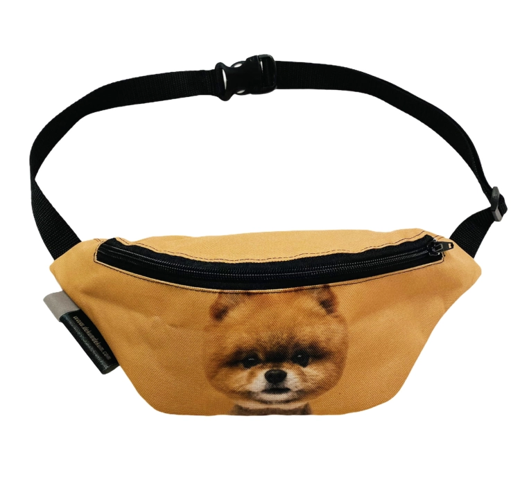 nerka pomeranian przód.jpg