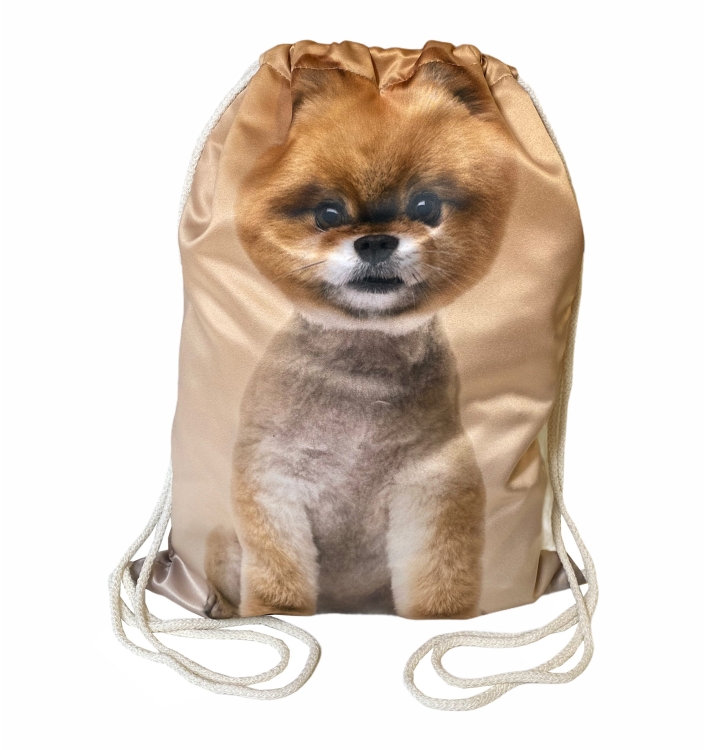 worek pomeranian 2.jpg