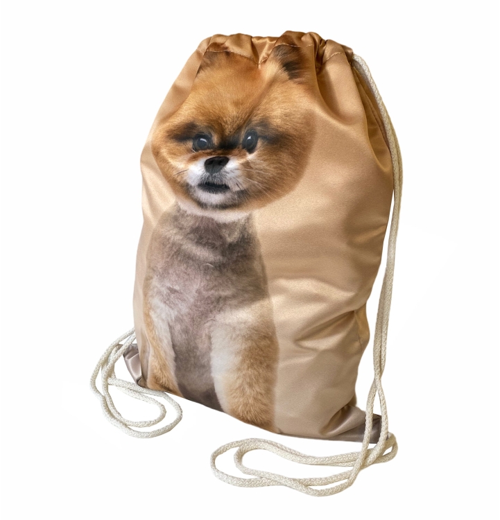 worek pomeranian 3.jpg