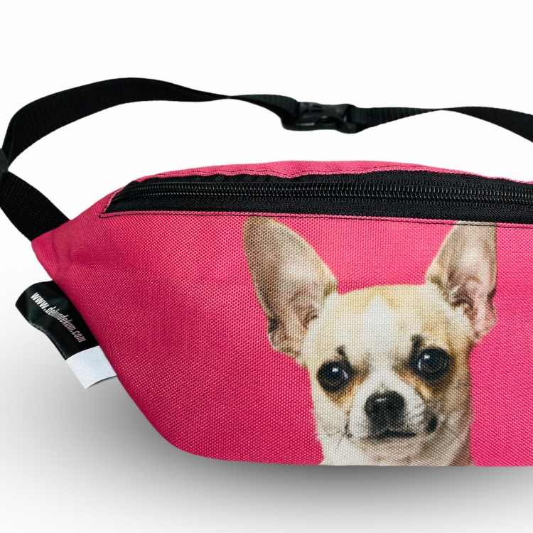 nerka chihuahua róż 2.jpg