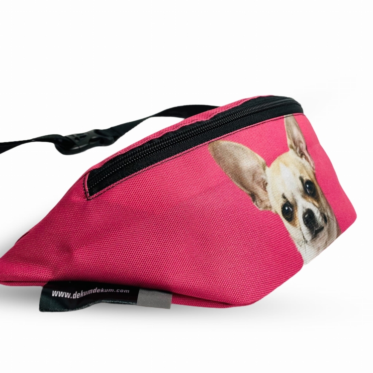 nerka chihuahua róż 4.jpg