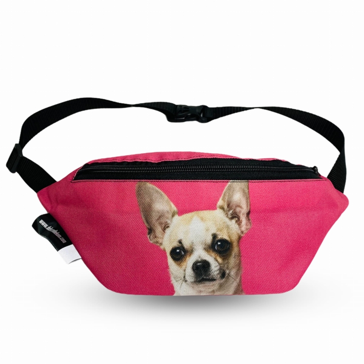 nerka chihuahua róż 5.jpg