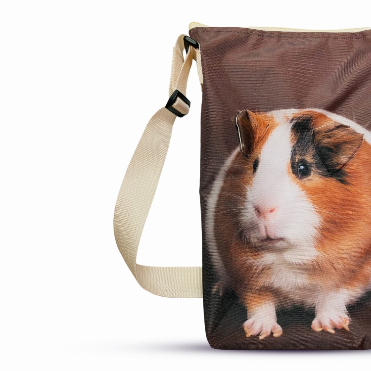 minishopper świnka morska 2.jpg