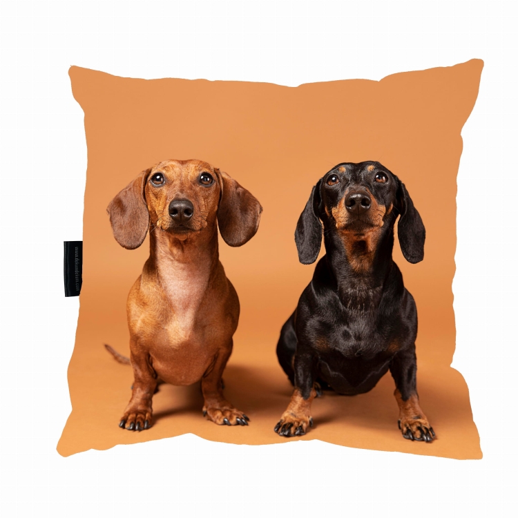 poduszka dwa jamniki .jpg