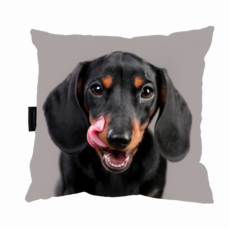 poduszka jamnik na szarym zdj zmniejszona.jpg