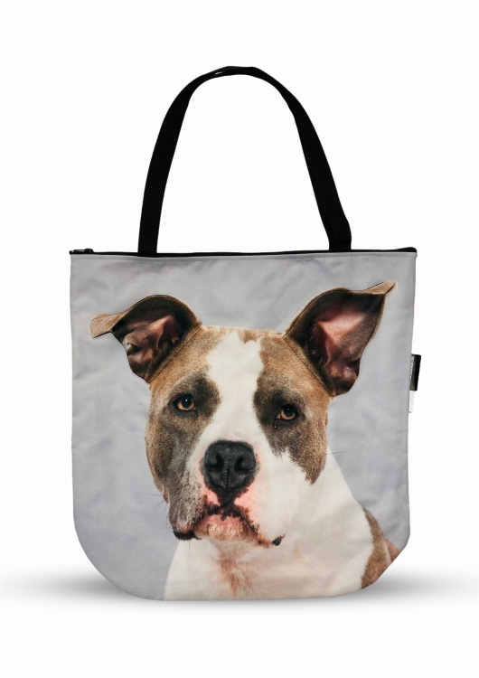 torba 3d american bull terrier zdj.jpg