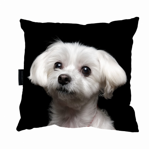 poduszka maltańczyk czarna.jpg