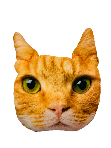 PhotoRoom_20211118_121631.png
