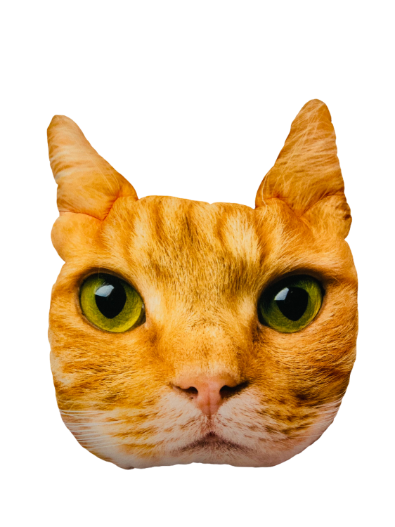 PhotoRoom_20211118_121631.png