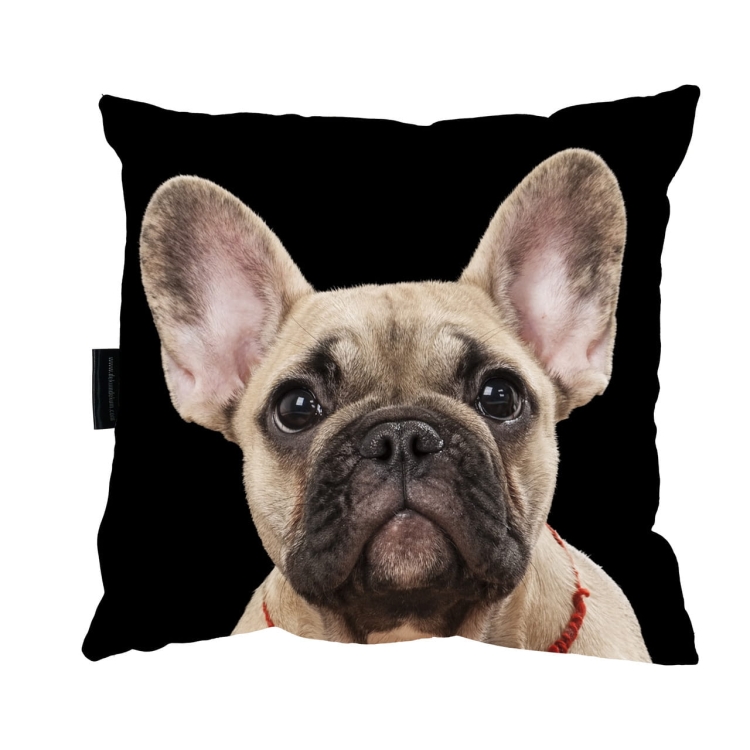 poduszka buldog poprawiona_Easy-Resize.com.jpg