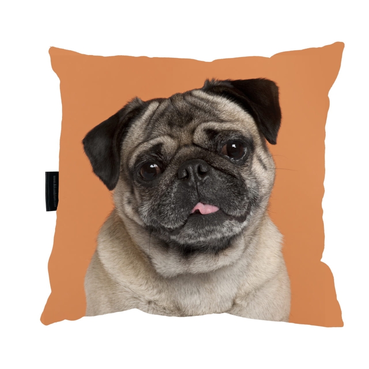 poduszka mops pomarańcz zdj_Easy-Resize.com.jpg