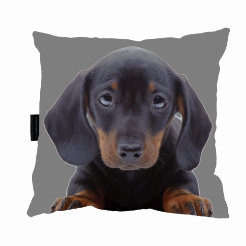 poduszka jamnik junior zdj 1.jpg