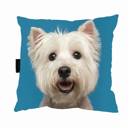 poduszka west niebieski zdj 1.jpg