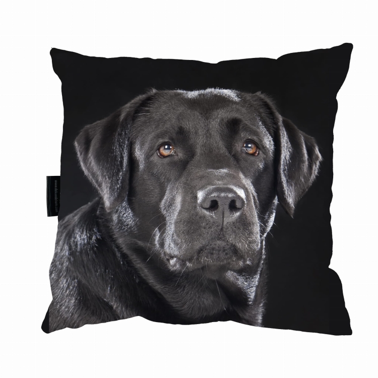 poduszka labrador czarny zdj 1.jpg