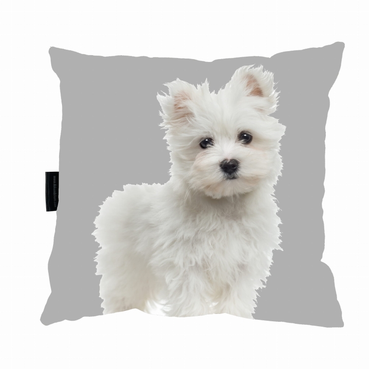 poduszka maltanczyk junior zdj 2.jpg