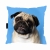 poduszka mops niebieski zdj 1.jpg
